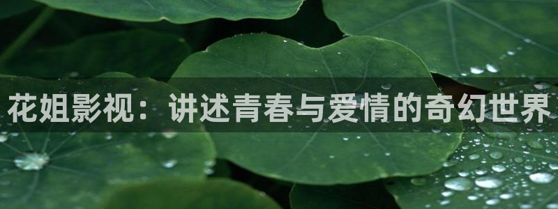 午夜759影视：花姐影视：讲述青春与爱情的奇幻世界