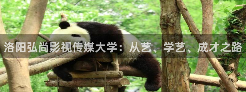 看看屋午夜伦理在线观看