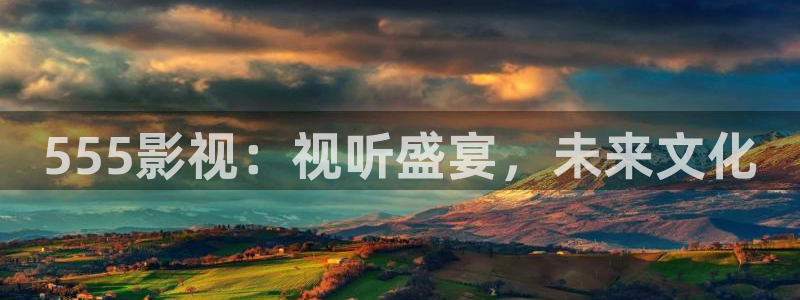 aa午夜影视