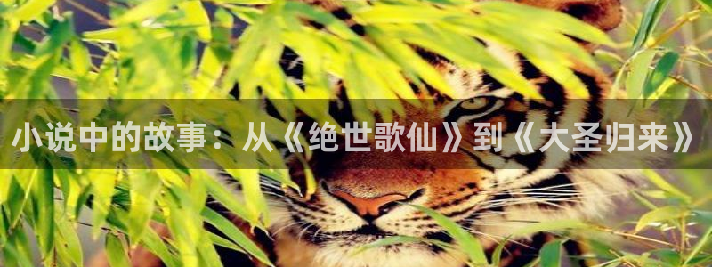 午夜tv在线观看av：小说中的故事：从《绝世歌仙》到《大圣归来》