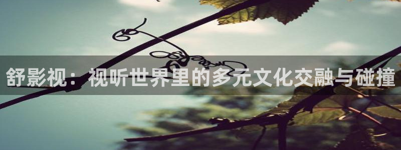 玩具熊的午夜电影：舒影视：视听世界里的多元文化交融与碰撞