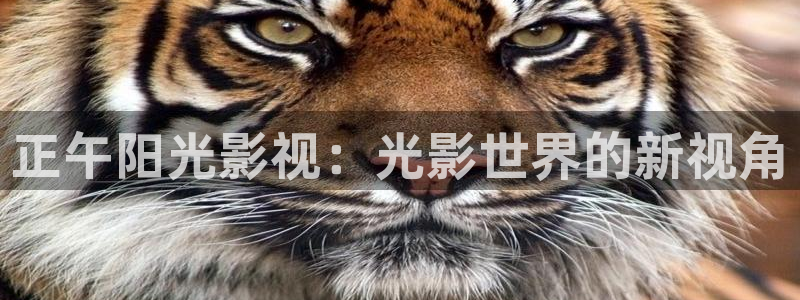 午夜毛片剧场