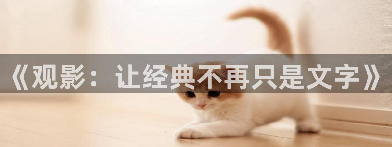 午夜高清国产一区