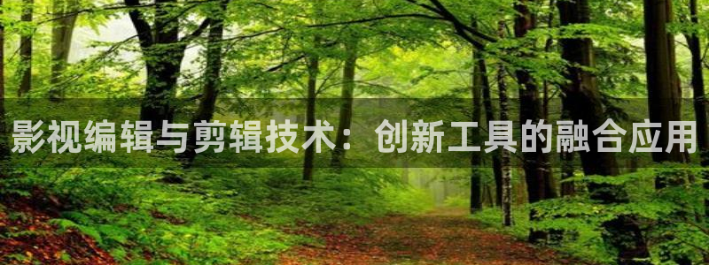 爱看av午夜：影视编辑与剪辑技术：创新工具的融合应用
