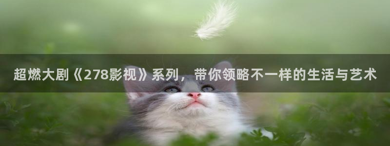 午夜麻豆影院