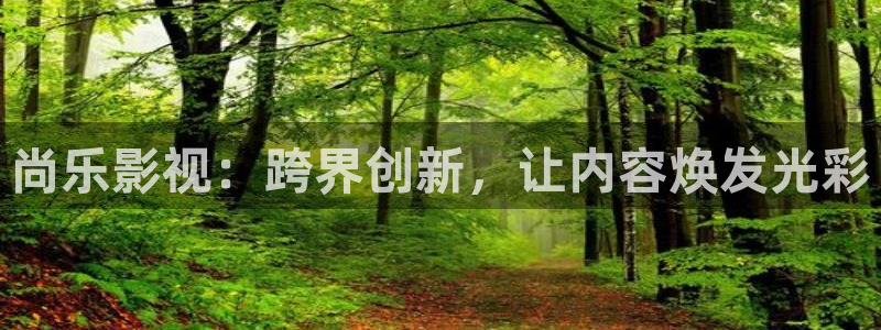 午夜影院免费播放：尚乐影视：跨界创新，让内容焕发光彩