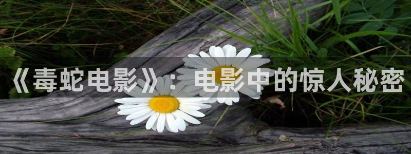 午夜91福利影院