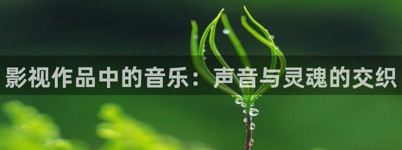被窝电影午夜
