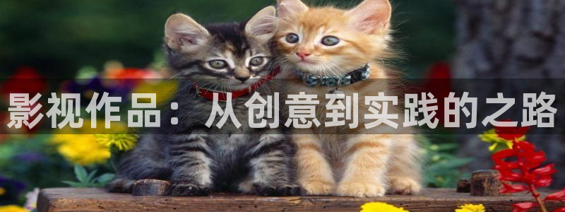 午夜av内射一区二区三区红桃视