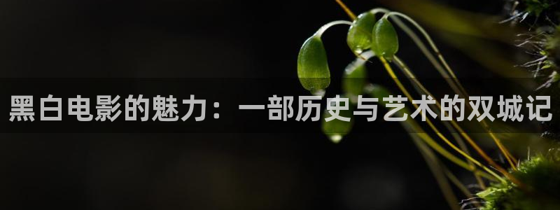午夜影院在线观看1000