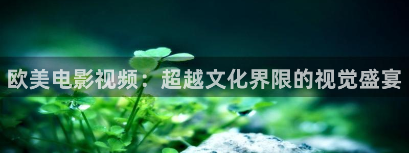 午夜91福利影院：欧美电影视频：超越文化界限的视觉盛宴