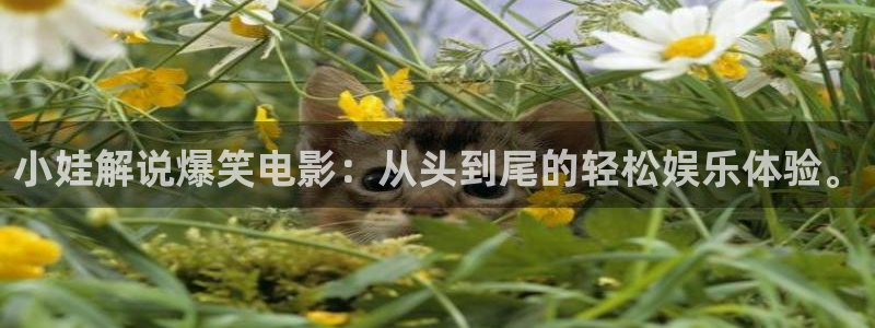 动漫午夜影院
