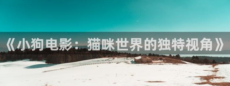 谁有午夜小视频网站：《小狗电影：猫咪世界的独特视角》