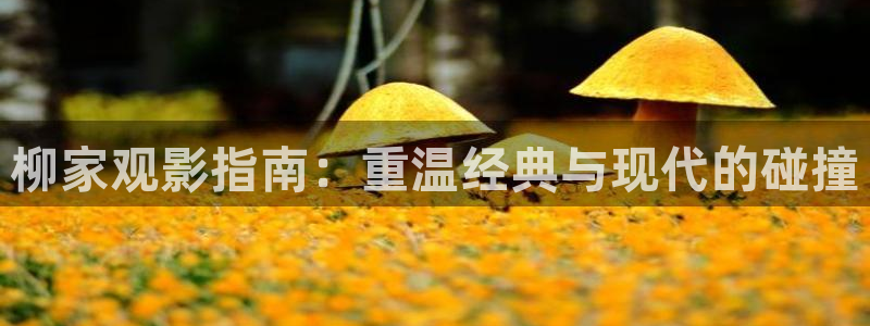 2019午夜在线1000：柳家观影指南：重温经典与现代的碰撞