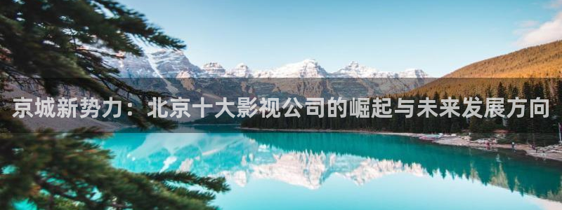 免费午夜电影app：京城新势力：北京十大影视公司的崛起与未来发展方向