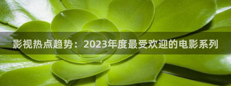 国模午夜写真福利在线：影视热点趋势：2023年度最受欢迎的电影系列