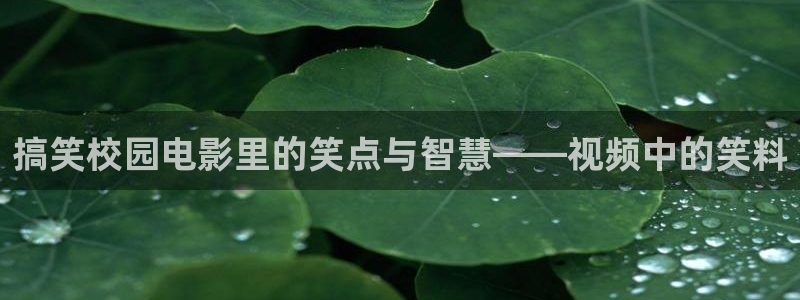 韩国午夜电影在线