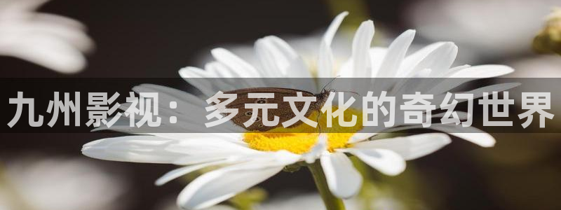神马午夜我不卡影院