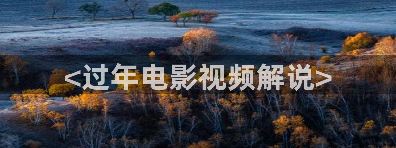 99午夜电影：<过年电影视频解说>