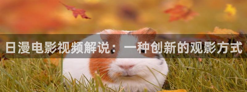 国产午夜私人影院