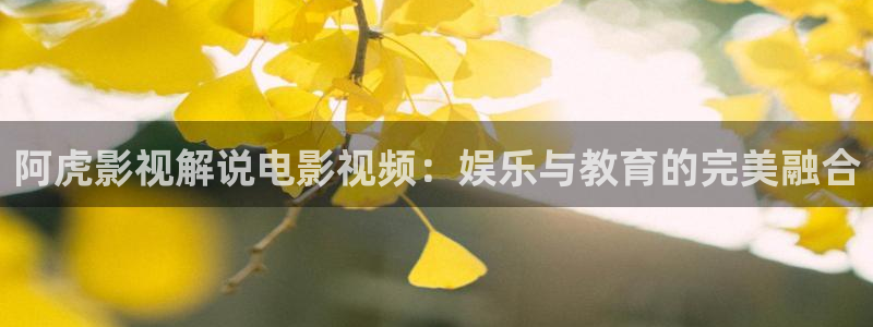 日韩午夜一级av