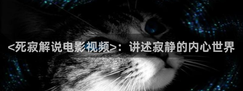 欧美午夜影院在线视频