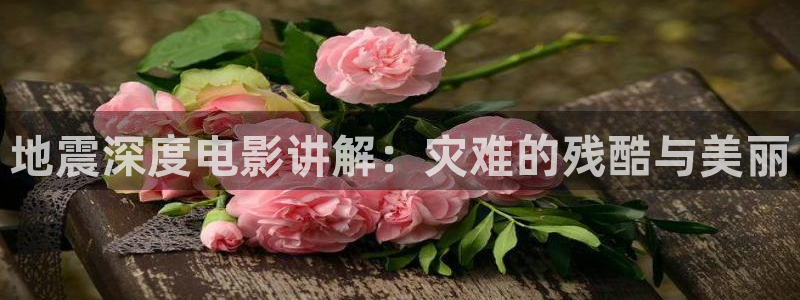午夜第一电影