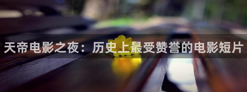 午夜大片免费网站
