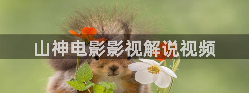 神马电影午夜国产电影