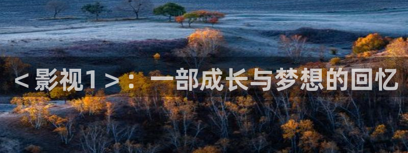 午夜夫妻免费电影