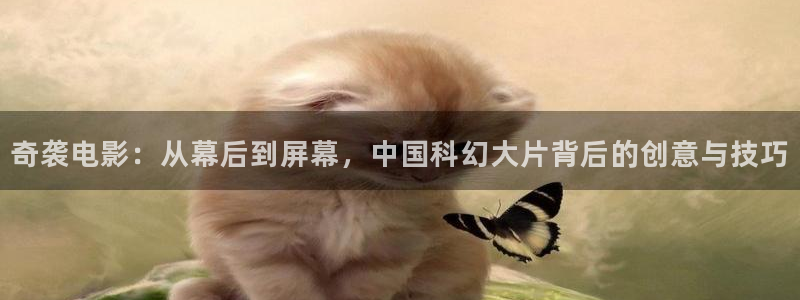 飘零午夜影院