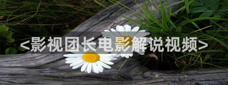 欧美午夜伦理在线