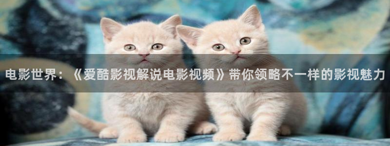 国产精品色午夜免费播放