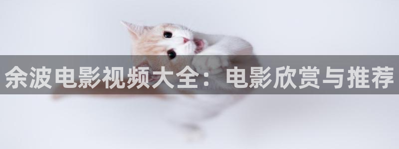 电影通 午夜