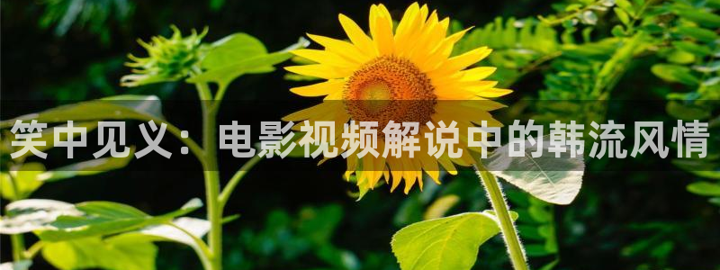午夜电影天堂在线