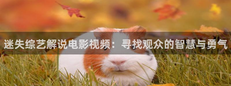 午夜巴黎电影简介