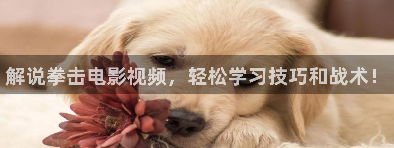 国产午夜激毛片av九九九