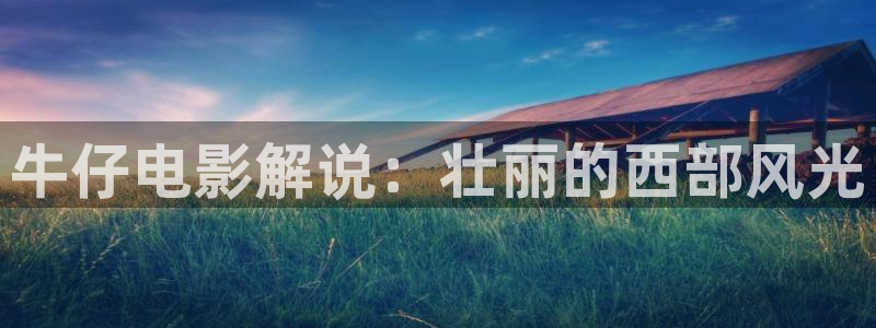 外国午夜电影
