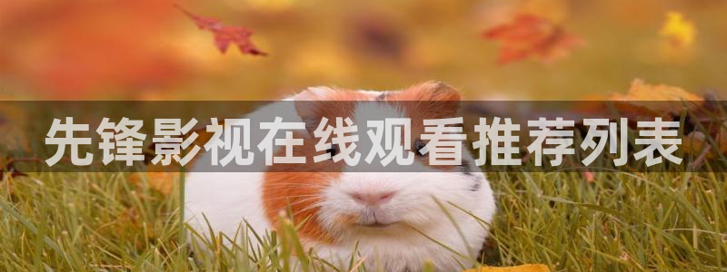 午夜av五月天