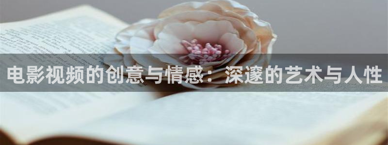 私人午夜电影