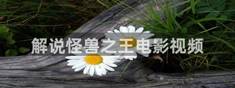 日韩午夜精品影院