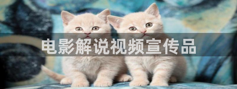 午夜福星电影全部
