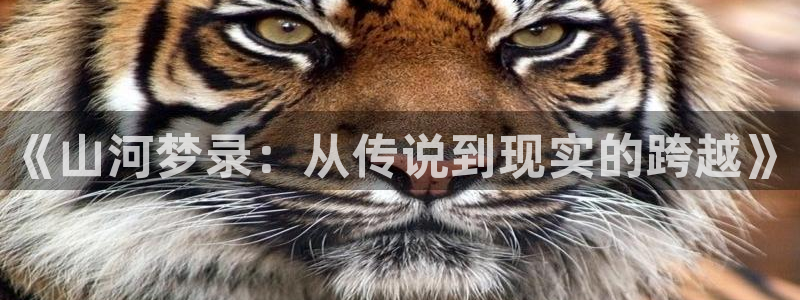 午夜看片伦理