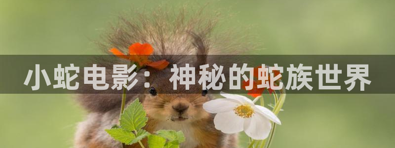 嘿嘿影视午夜免费