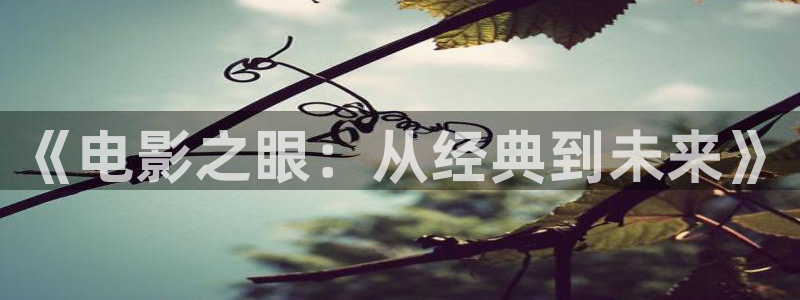 午夜叼嘿片