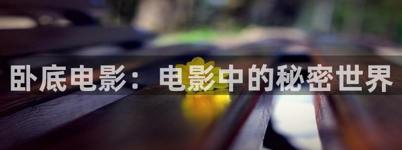 国产精品午夜片：卧底电影：电影中的秘密世界
