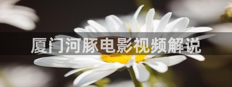 韩国午夜理论最新电影片：厦门河豚电影视频解说