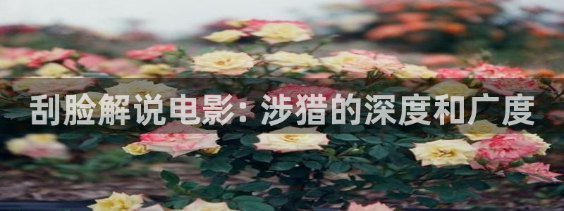 影院午夜：刮脸解说电影: 涉猎的深度和广度