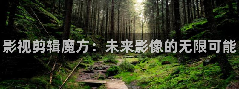 午夜熟女电影：影视剪辑魔方：未来影像的无限可能
