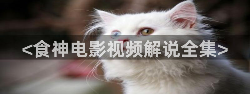 秋霞午夜影院：<食神电影视频解说全集>